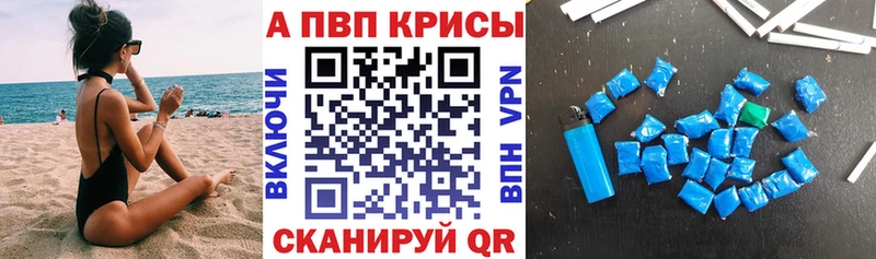Альфа ПВП СК КРИС  Углич 