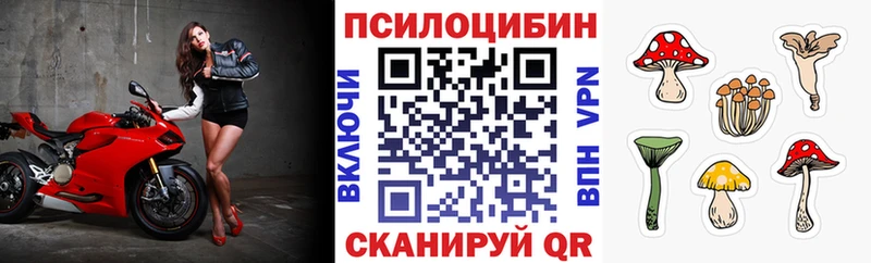Псилоцибиновые грибы Psilocybine cubensis Углич
